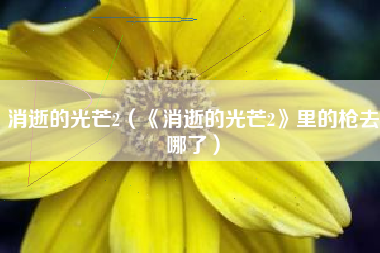 消逝的光芒2（《消逝的光芒2》里的枪去哪了）