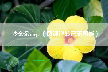 沙奈朵mega（风评逆转已无可能）