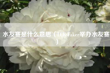 水友赛是什么意思（LCK:Faker举办水友赛）