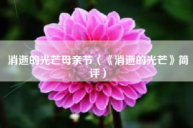 消逝的光芒母亲节（《消逝的光芒》简评）