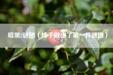 暗黑2谜团（终于做出了第一件谜团）