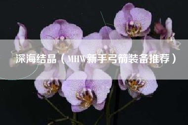 深海结晶（MHW新手弓箭装备推荐）