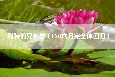 利特的兄弟岩（EXO六月完全体回归）