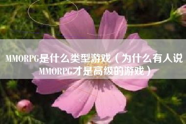 MMORPG是什么类型游戏（为什么有人说MMORPG才是高级的游戏）