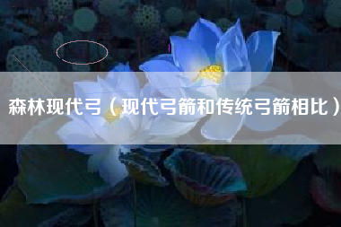 森林现代弓（现代弓箭和传统弓箭相比）