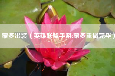 蒙多出装（英雄联盟手游:蒙多重做完毕）