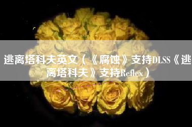 逃离塔科夫英文（《腐蚀》支持DLSS《逃离塔科夫》支持Reflex）