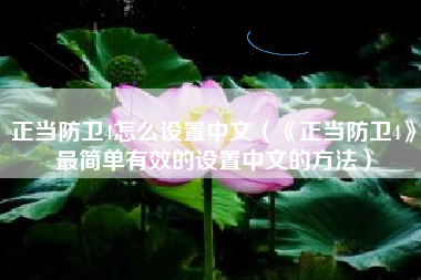 正当防卫4怎么设置中文（《正当防卫4》最简单有效的设置中文的方法）