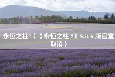 永恒之柱2（《永恒之柱 2》Switch 版官宣取消）