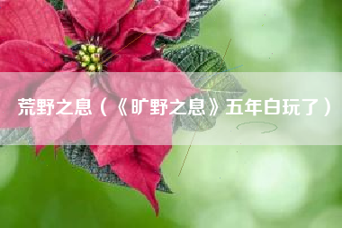 荒野之息（《旷野之息》五年白玩了）