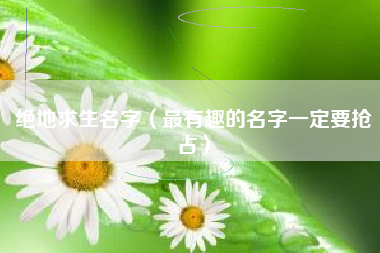 绝地求生名字（最有趣的名字一定要抢占）