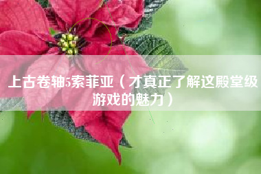 上古卷轴5索菲亚（才真正了解这殿堂级游戏的魅力）