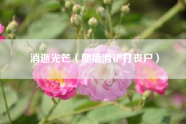 消逝光芒（爬墙滑铲打丧尸）