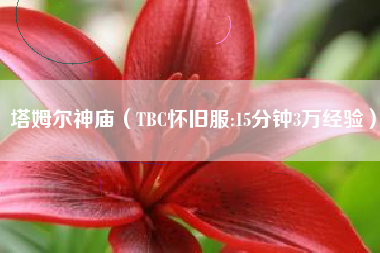 塔姆尔神庙（TBC怀旧服:15分钟3万经验）