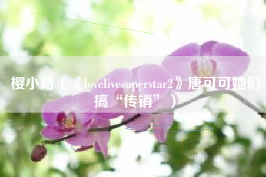 樱小路（《lovelivesuperstar2》唐可可她们搞“传销”）