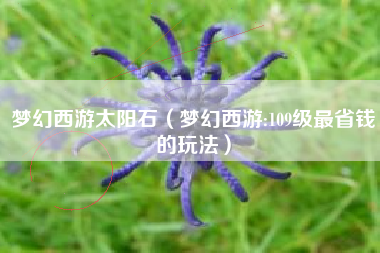 梦幻西游太阳石（梦幻西游:109级最省钱的玩法）