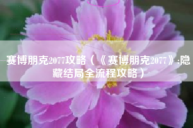 赛博朋克2077攻略（《赛博朋克2077》:隐藏结局全流程攻略）