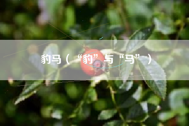 豹马（“豹”与“马”）