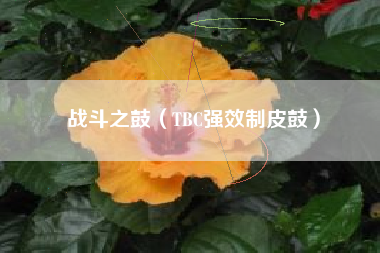 战斗之鼓（TBC强效制皮鼓）