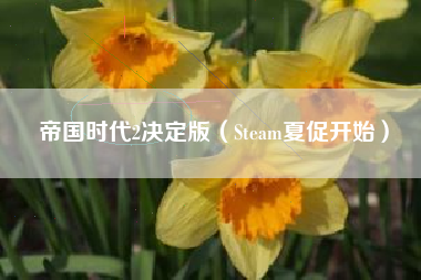 帝国时代2决定版（Steam夏促开始）