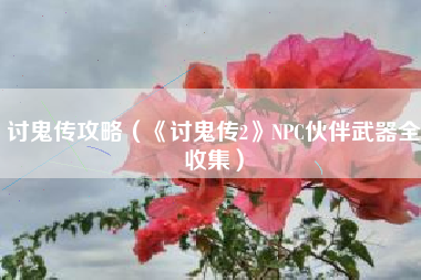 讨鬼传攻略（《讨鬼传2》NPC伙伴武器全收集）