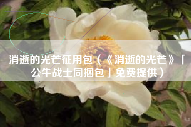 消逝的光芒征用包（《消逝的光芒》「公牛战士同捆包」免费提供）