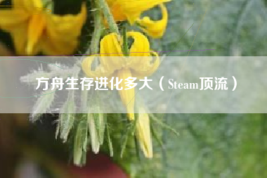 方舟生存进化多大（Steam顶流）