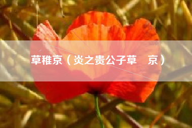 草稚京（炎之贵公子草薙京）