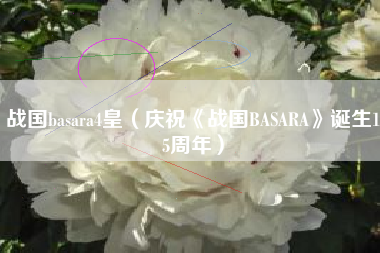 战国basara4皇（庆祝《战国BASARA》诞生15周年）