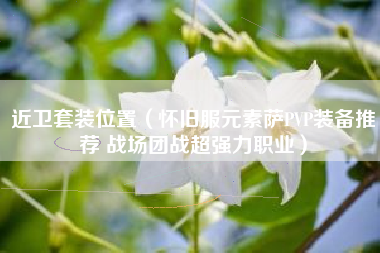 近卫套装位置（怀旧服元素萨PVP装备推荐 战场团战超强力职业）