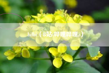 bilbi（B站(哗哩哗哩)）