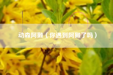 动森阿獭（你遇到阿獭了吗）