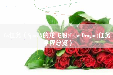 fss任务（SpaceX的龙飞船(Crew Dragon)任务全程总览）