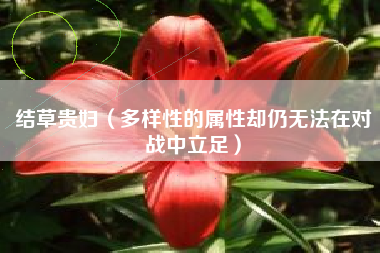 结草贵妇（多样性的属性却仍无法在对战中立足）