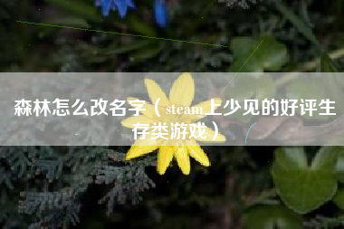 森林怎么改名字（steam上少见的好评生存类游戏）