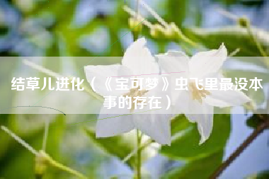 结草儿进化（《宝可梦》虫飞里最没本事的存在）