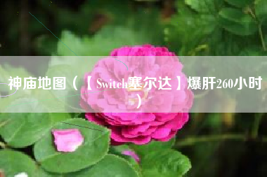 神庙地图（【Switch塞尔达】爆肝260小时）