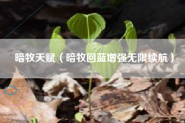 暗牧天赋（暗牧回蓝增强无限续航）