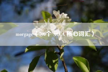 morgage（700个 ACCA 核心词汇）