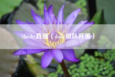 theshy直播（duke组队开黑）