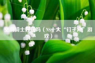 空洞骑士好玩吗（NS十大“钉子户”游戏）