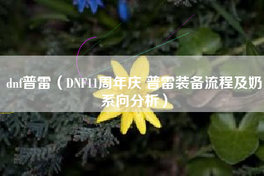 dnf普雷（DNF11周年庆 普雷装备流程及奶系向分析）