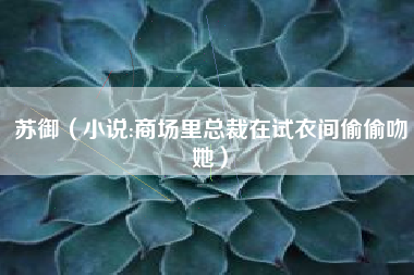 苏御（小说:商场里总裁在试衣间偷偷吻她）