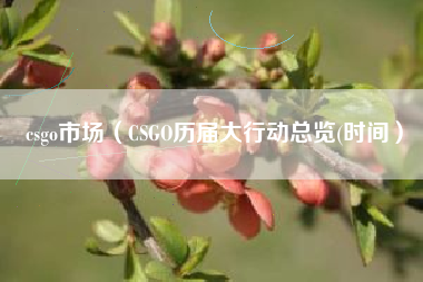 csgo市场（CSGO历届大行动总览(时间）