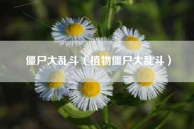 僵尸大乱斗（植物僵尸大乱斗）