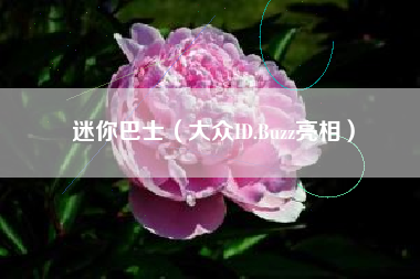 迷你巴士（大众ID.Buzz亮相）