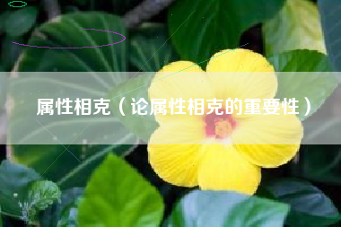 属性相克（论属性相克的重要性）