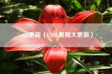 csol更新（CSOL暑期大更新）