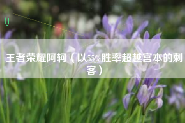 王者荣耀阿轲（以55%胜率超越宫本的刺客）