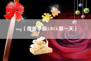 wcg（魔兽争霸3:WCG第一天）